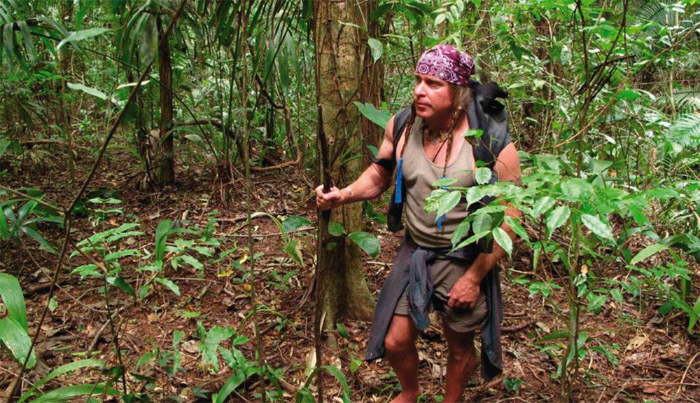 Cómo alimentarte de la naturaleza