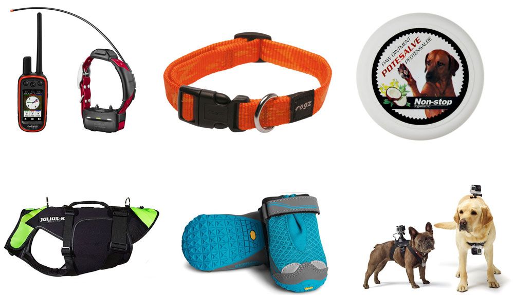 11 productos para disfrutar con tu perro ahí fuera