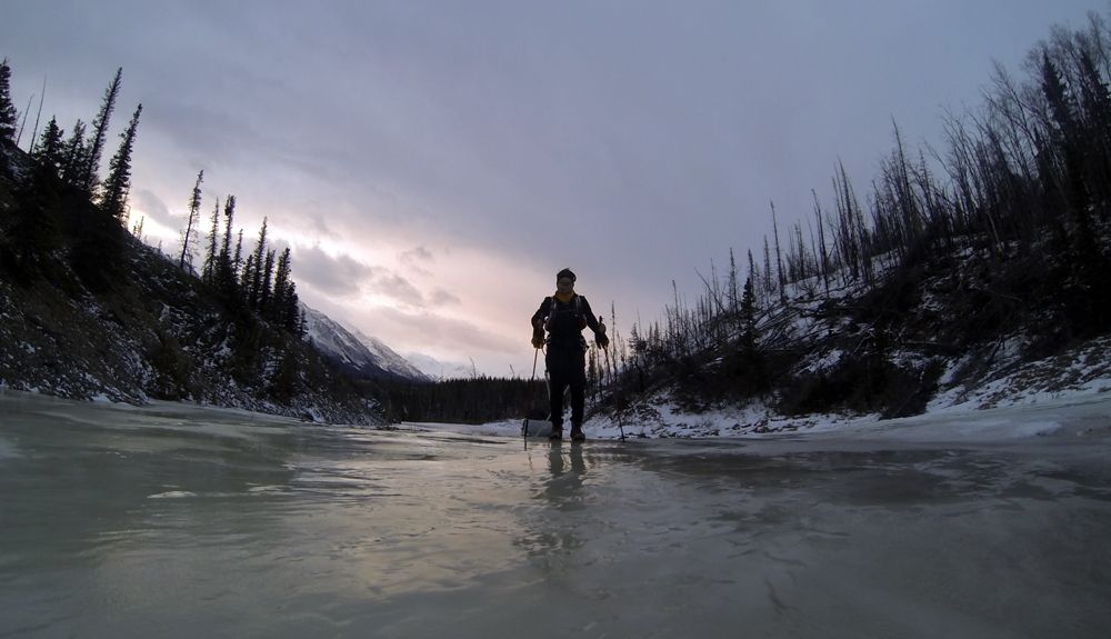 Una española en la Iditarod
