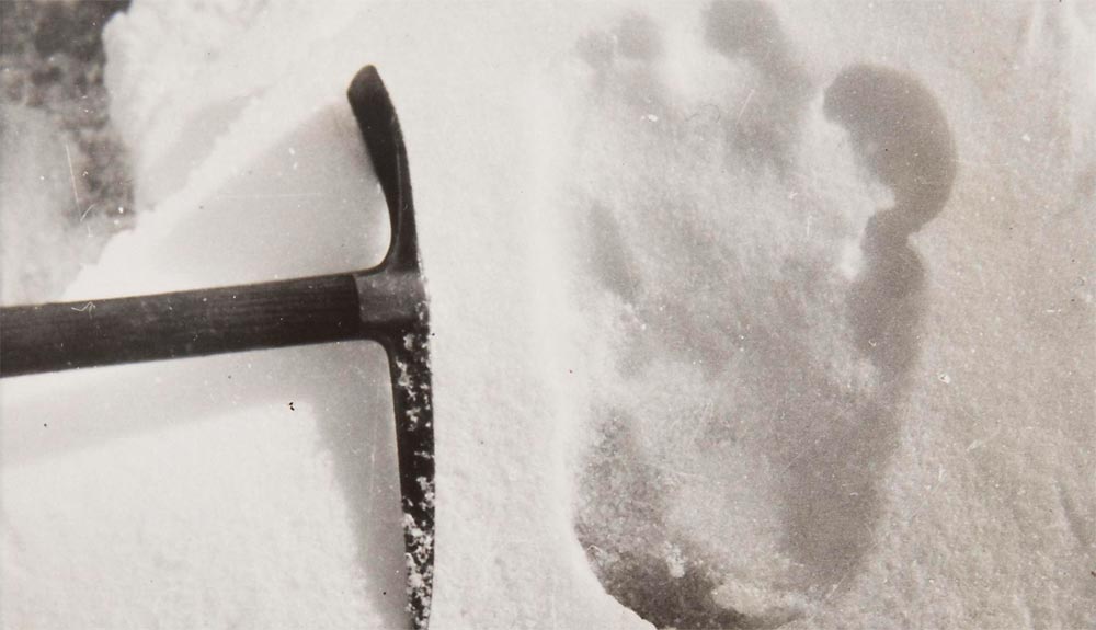 Un equipo británico en busca del Yeti