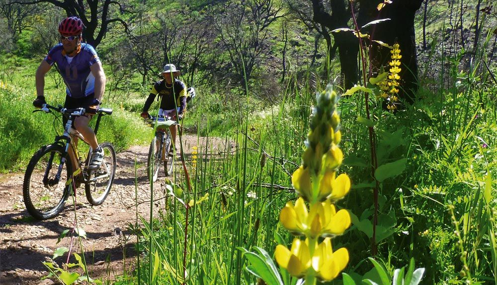 Algarve en mountain bike: el GR 13 en 6 etapas