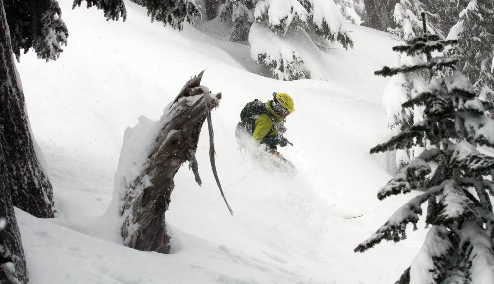 ¡Cuidado con los "pozos-trampa" en los bosques nevados!