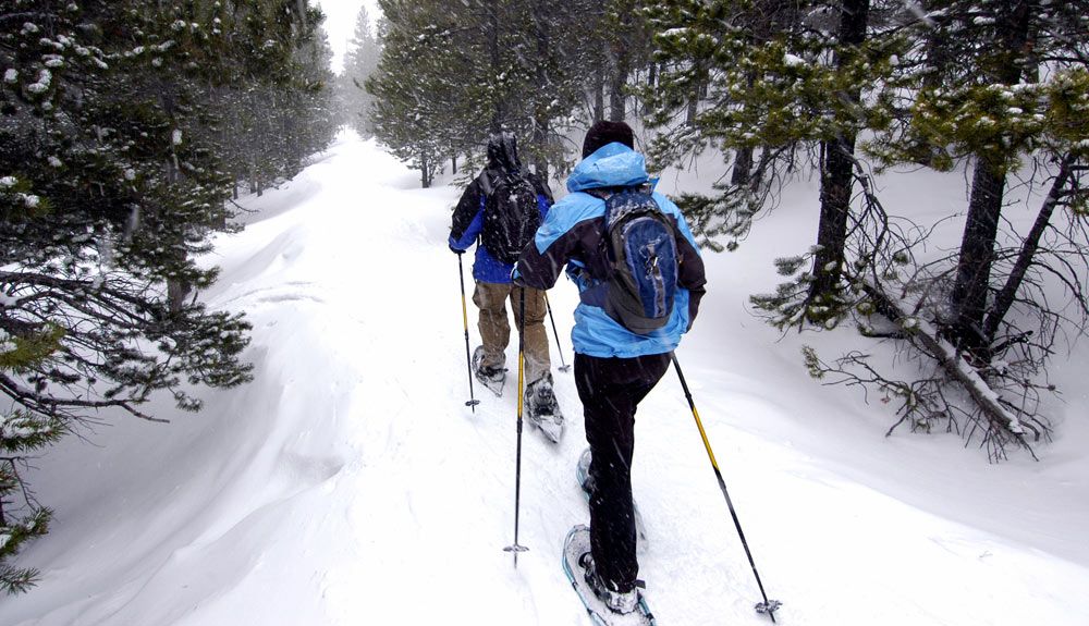 Cómo elegir tus raquetas de nieve