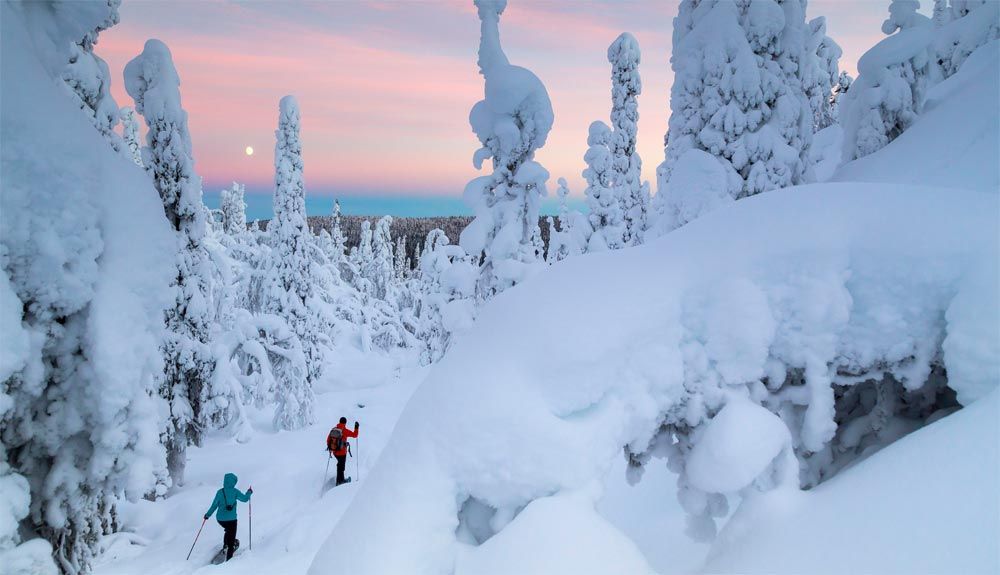 4 días para vivir la naturaleza finlandesa
