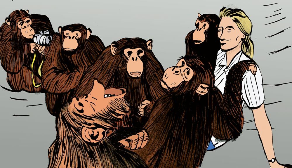 Jane Goodall, una chispa en la oscuridad