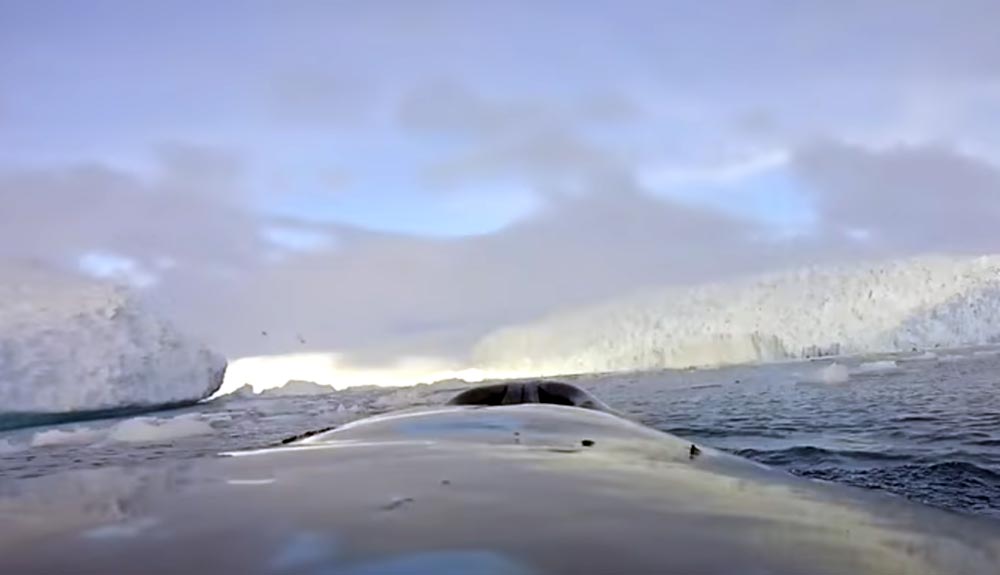 La Antártida a vista de ballena
