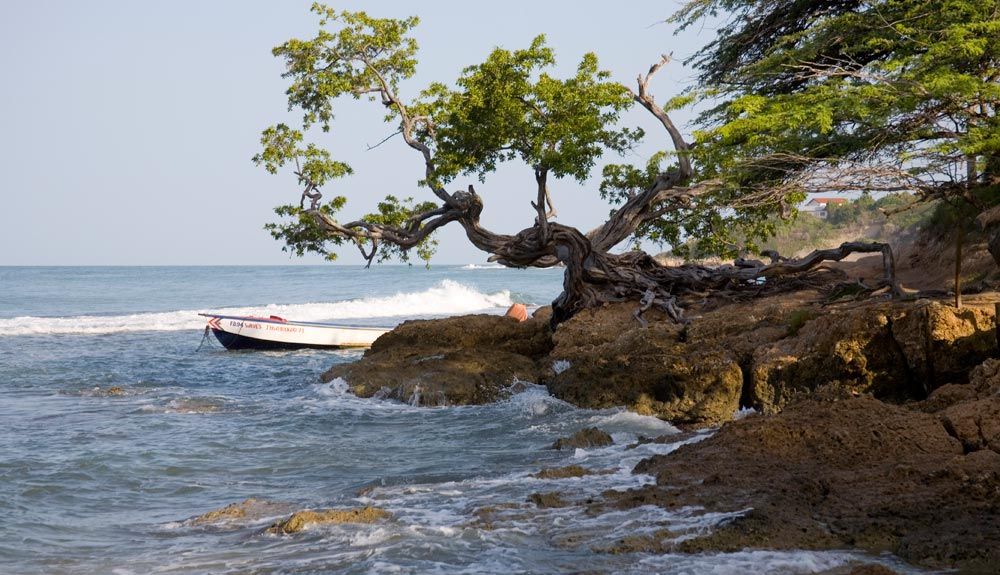 Un recorrido por los tesoros escondidos de Jamaica
