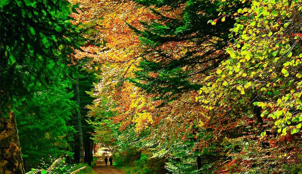 Navarra y su naturaleza, un plan brillante para el puente de mayo