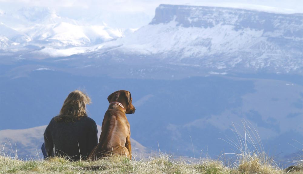 8 razones para hacer senderismo con tu perro