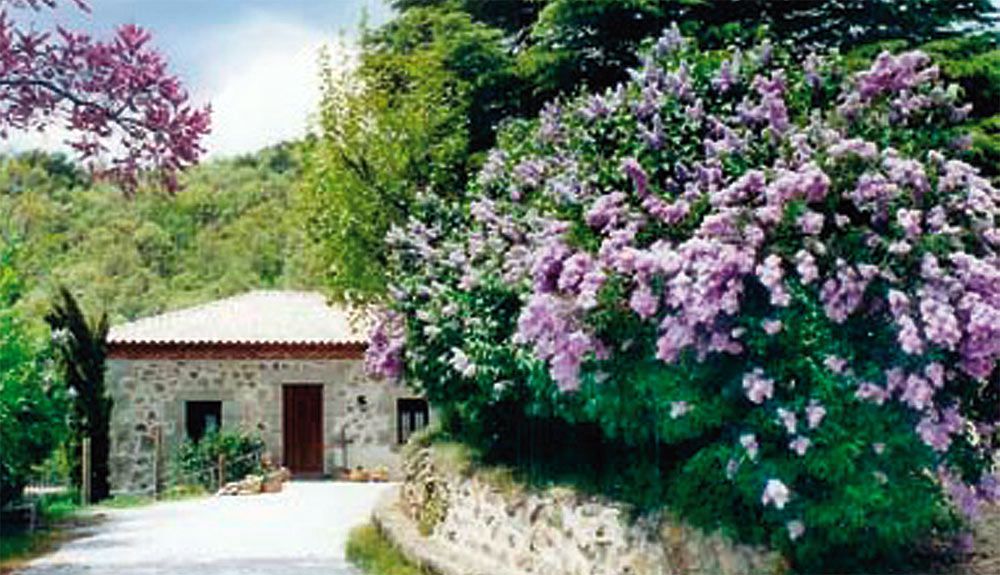 Peña Pintada