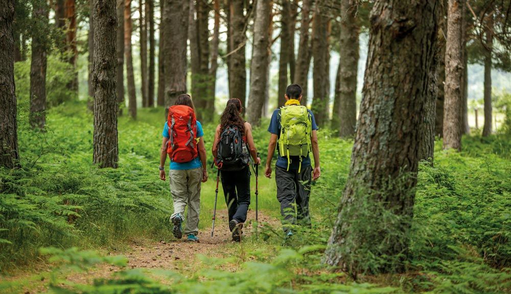 5 esenciales para elegir tu calzado de montaña