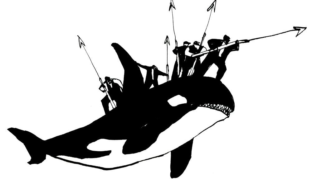El mar interior: las orcas del Edén