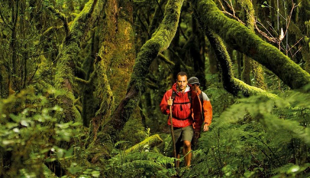 10 grandes trekkings
