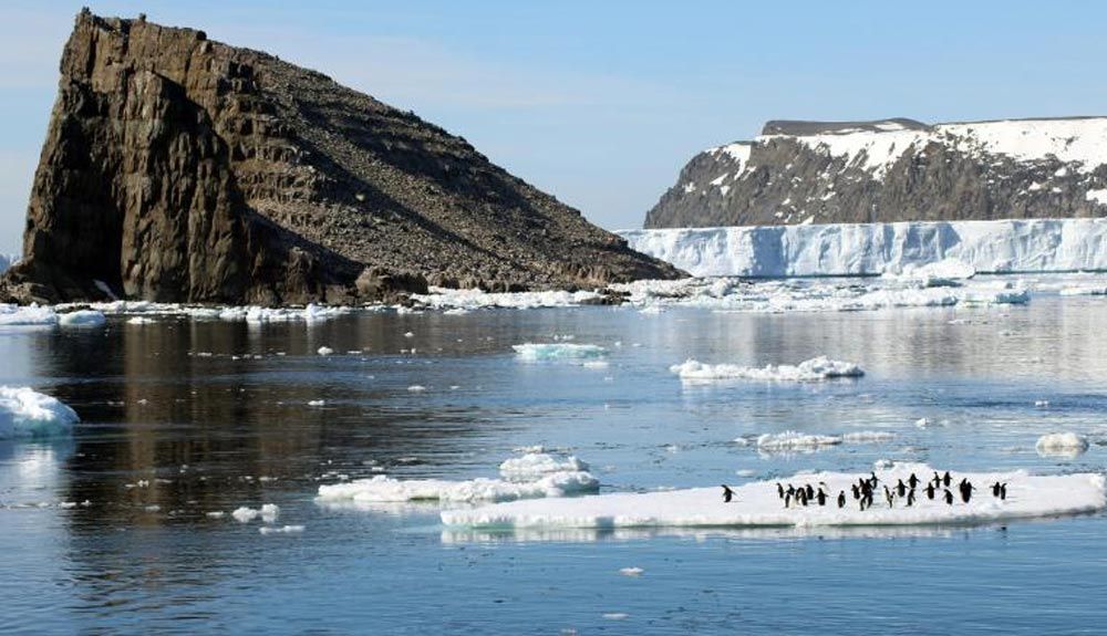 Se descubre una colonia de 1.5 millones de pingüinos