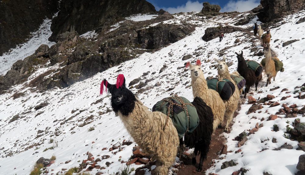 El trekking del Ausangate, en vídeo