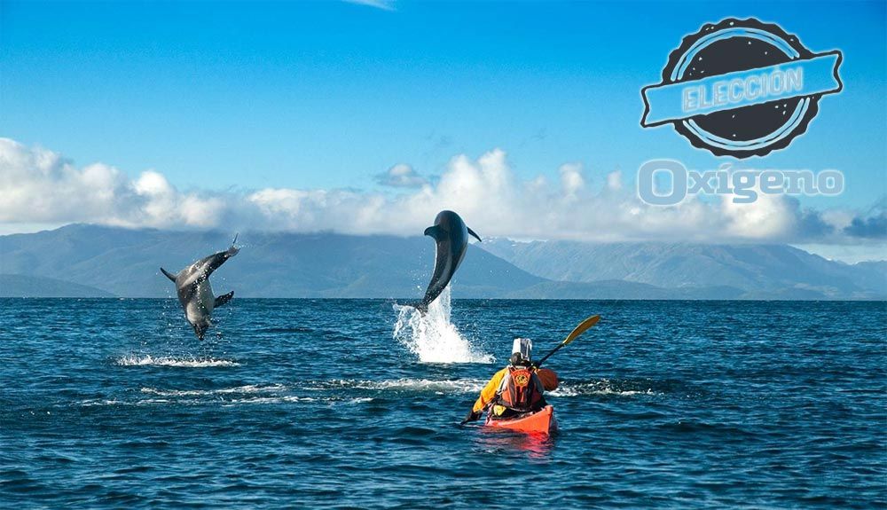 17 novedades ideales para nuestros viajes de aventura