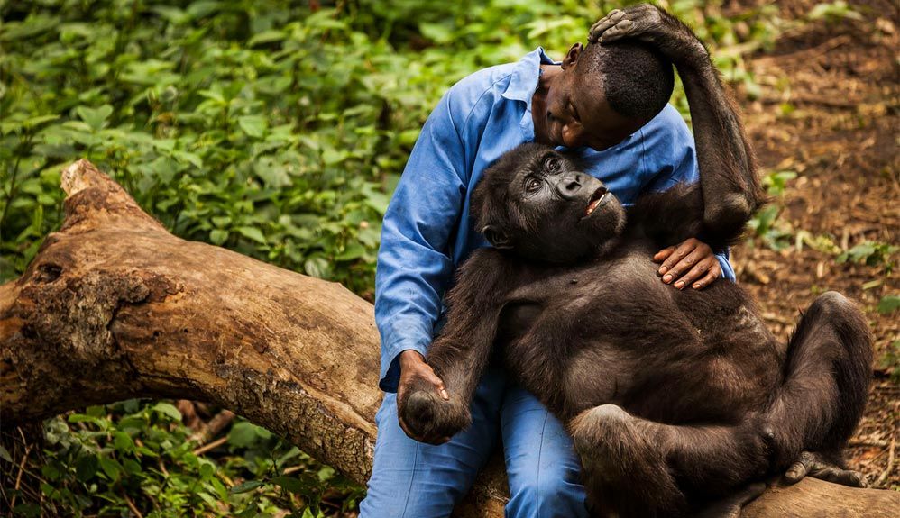Asesinan a 5 rangers en el Parque Nacional de Virunga