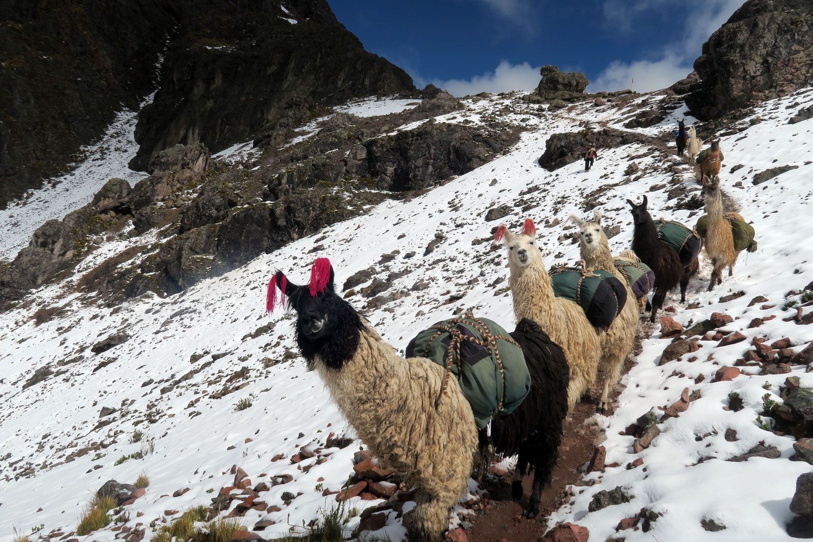 En territorio Inca