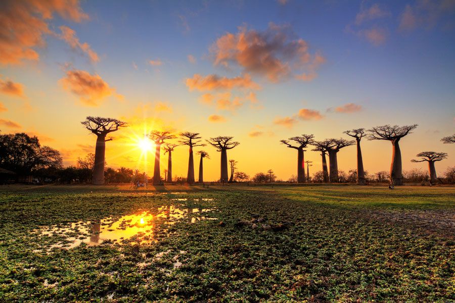 Trekking y Aventura en Madagascar