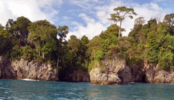 Parque Nacional de Corcovado, en la Península de Osa.