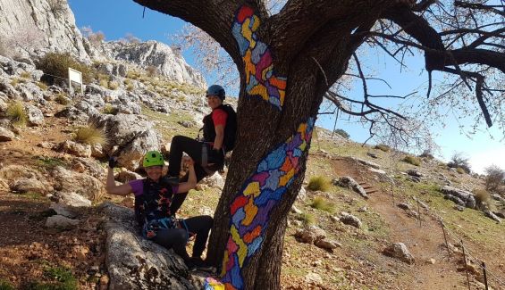 Pinturas Pinturas