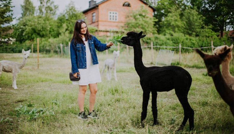 "Alquila un finlandés", una divertida campaña de Visit Finland "Alquila un finlandés", una divertida campaña de Visit Finland