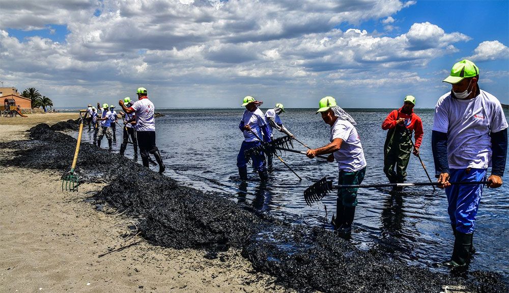 El Mar Menor continúa en estado crítico