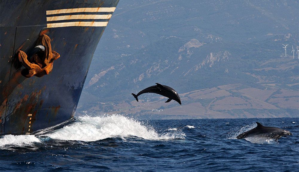 El Mediterráneo se ha convertido en una perla económica mundial.