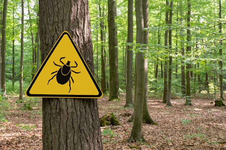 Consejos anti-garrapatas