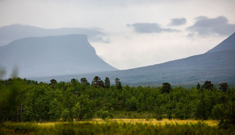 Parque Nacional de Abisko Parque Nacional de Abisko
