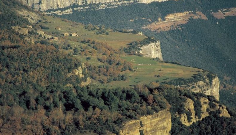Bosque Rupit Bosque Rupit