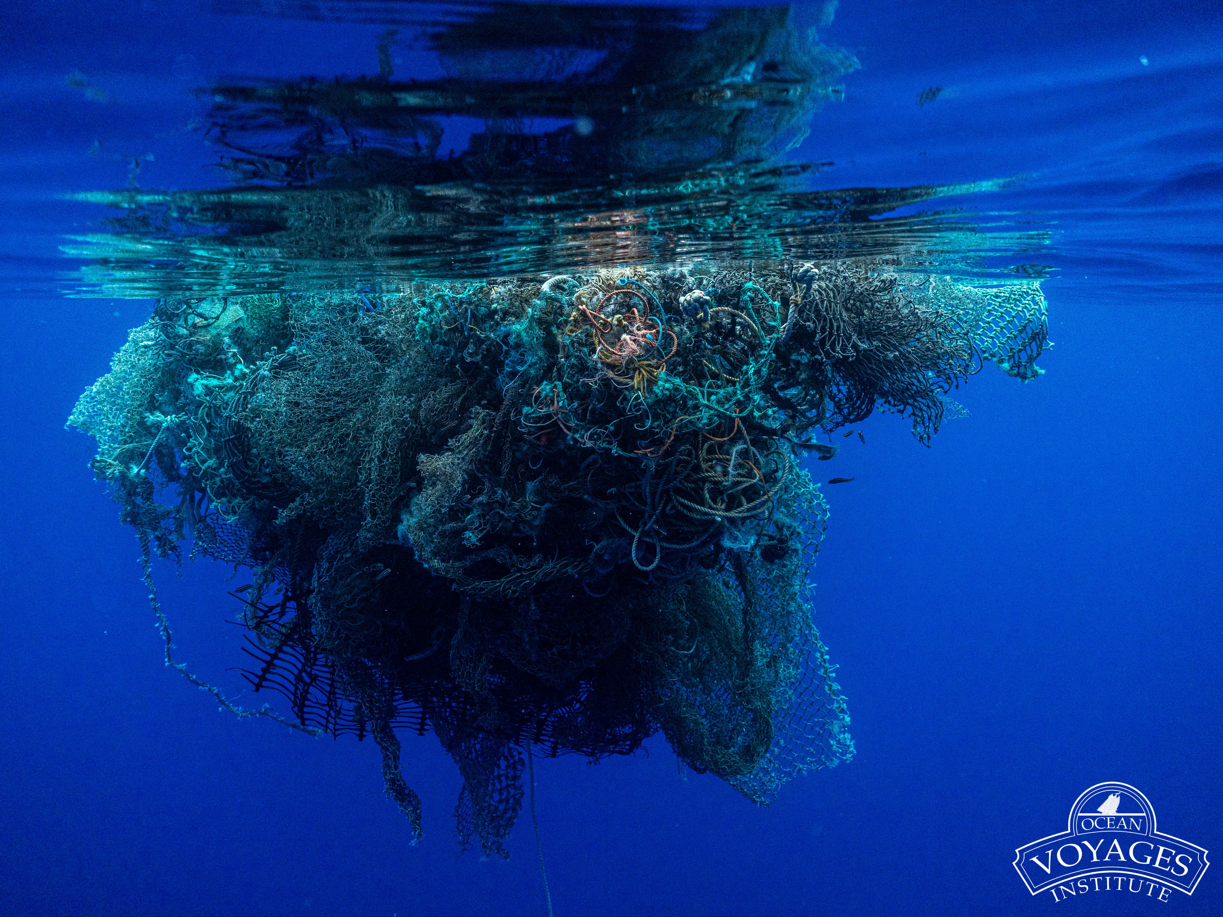 © Ocean Voyage Institute