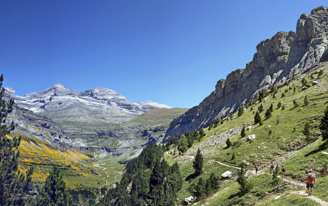 iStock 486523550