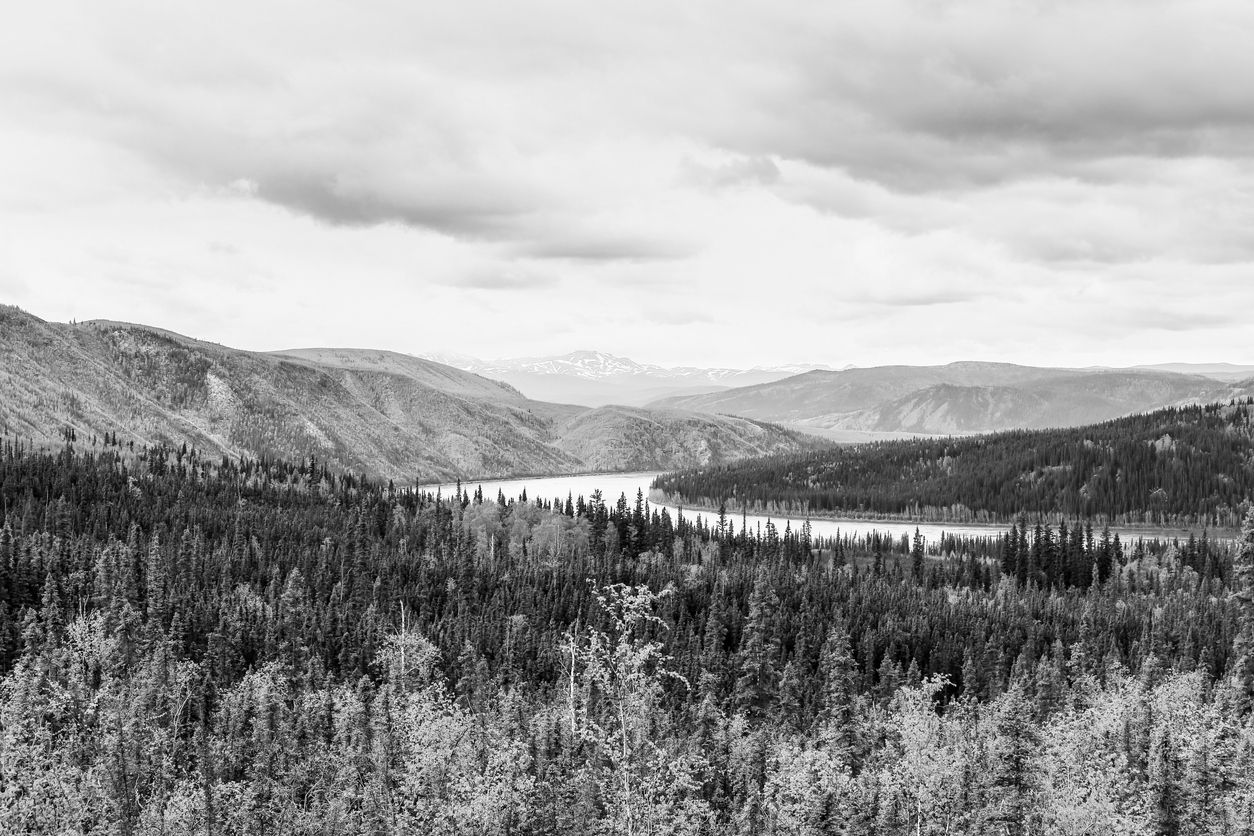 iStock 910052114