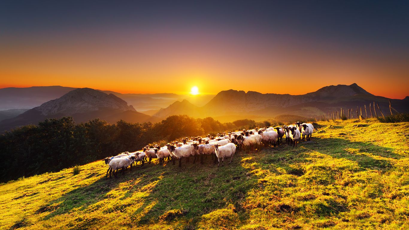 iStock 512744380