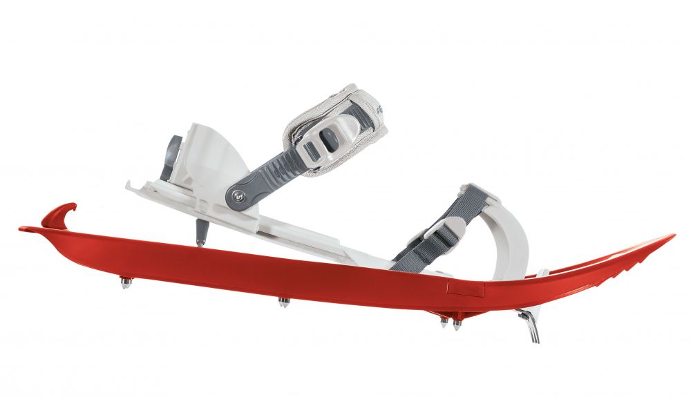 FW20 83041 LMM LYS CASTOR SPECIAL Lat copia