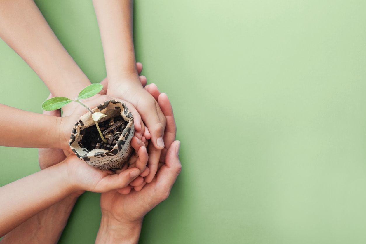 Día internacional Educación Medioambiental