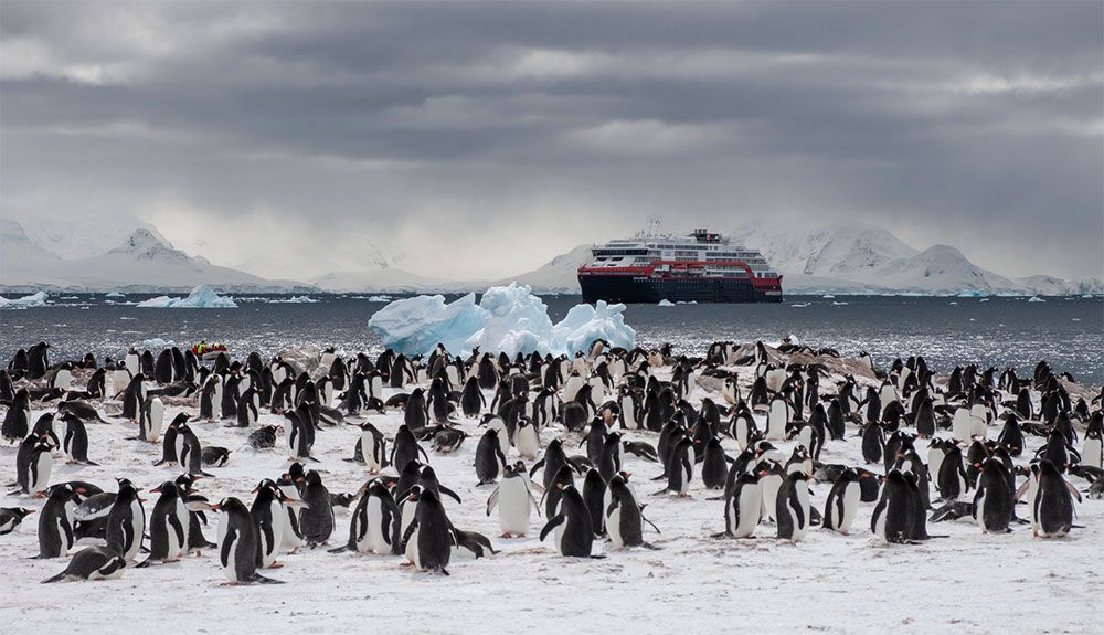 El viaje de una vida a bordo del MS Roald Amundsen