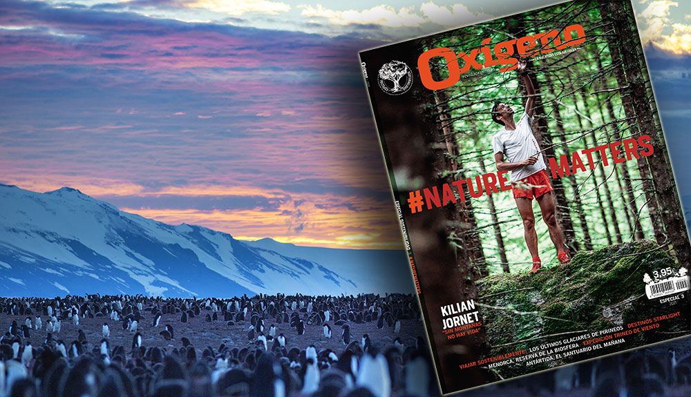 La naturaleza importa... ¡Ya en los quioscos nuestro nuevo especial sostenibilidad!