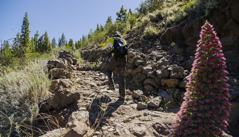 Tenerife Walking Festival (imagen archivo)