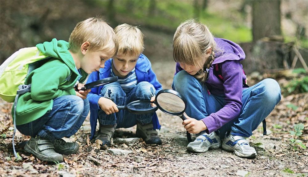 Cómo afecta a los niños el trastorno por déficit de naturaleza