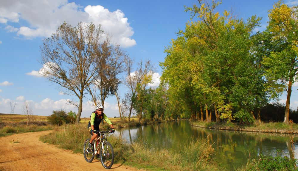 Canal Castilla 14