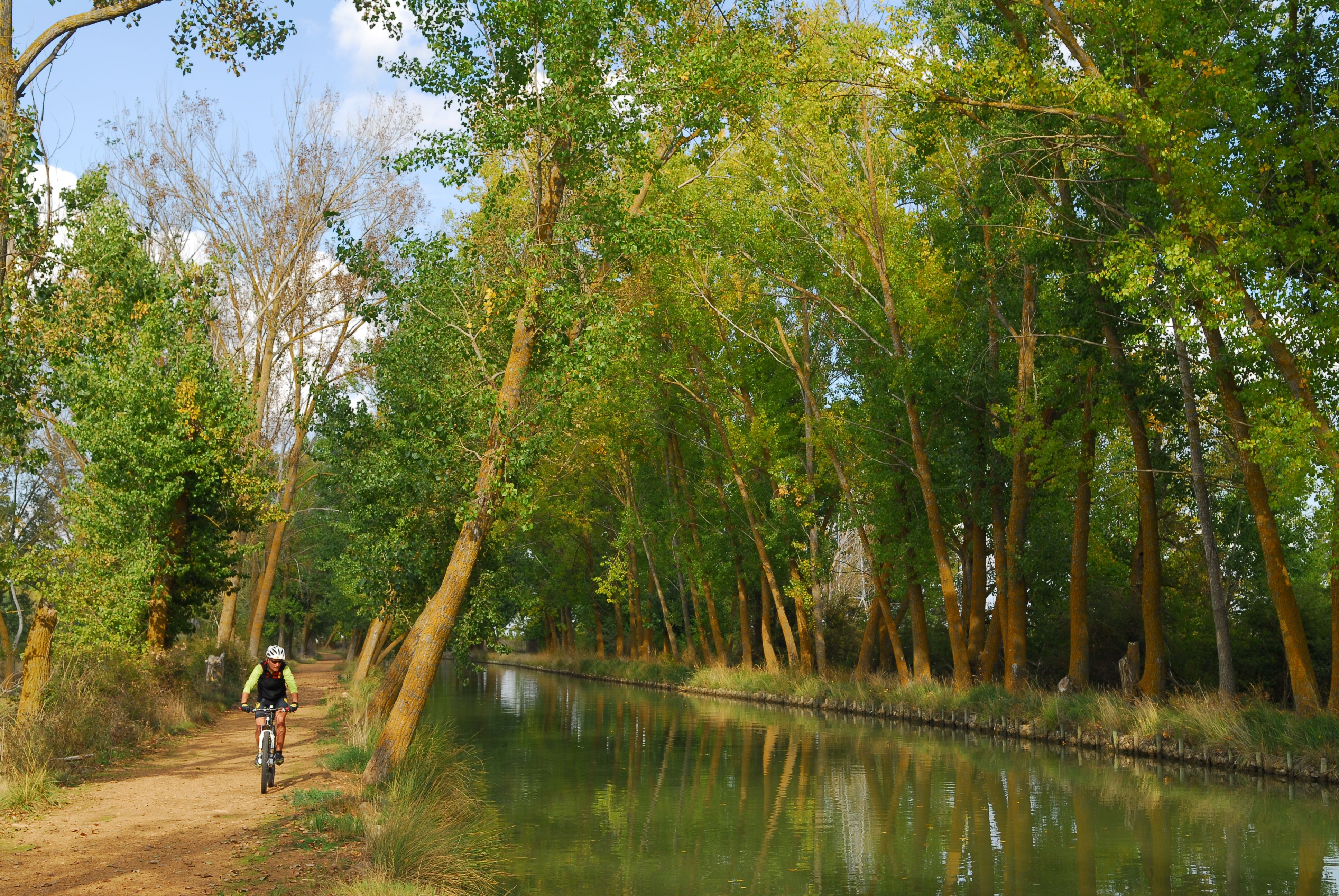 Canal Castilla 13