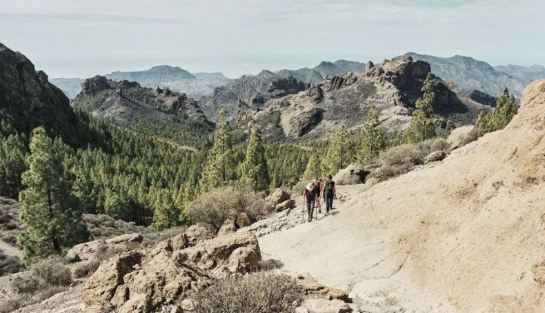 Llega una nueva edición del Gran Canaria Walking Festival Llega una nueva edición del Gran Canaria Walking Festival