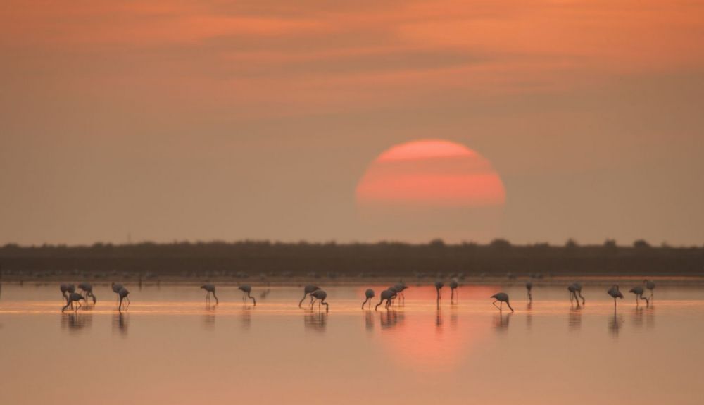 Terres del Ebre, uno de los parajes naturales con mayor biodiversidad de Cataluña