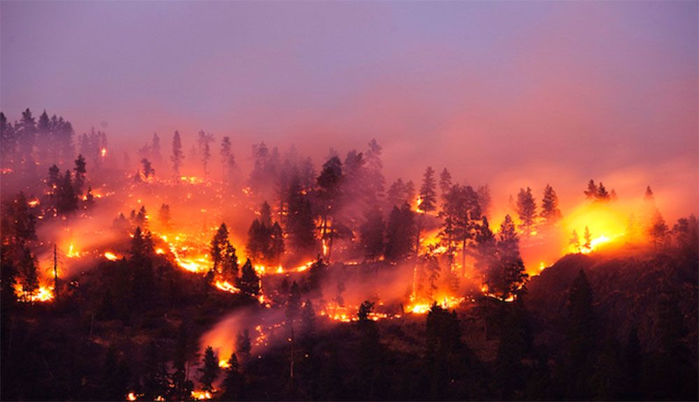Los incendios forestales del Mediterráneo también amenazan los bosques españoles