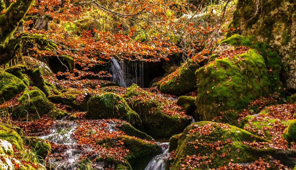 Rutas con todo el esplendor del otoño en la provincia de León