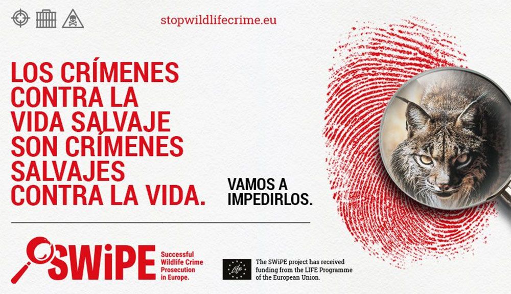 WWF recrudece la lucha contra los crímenes en la naturaleza