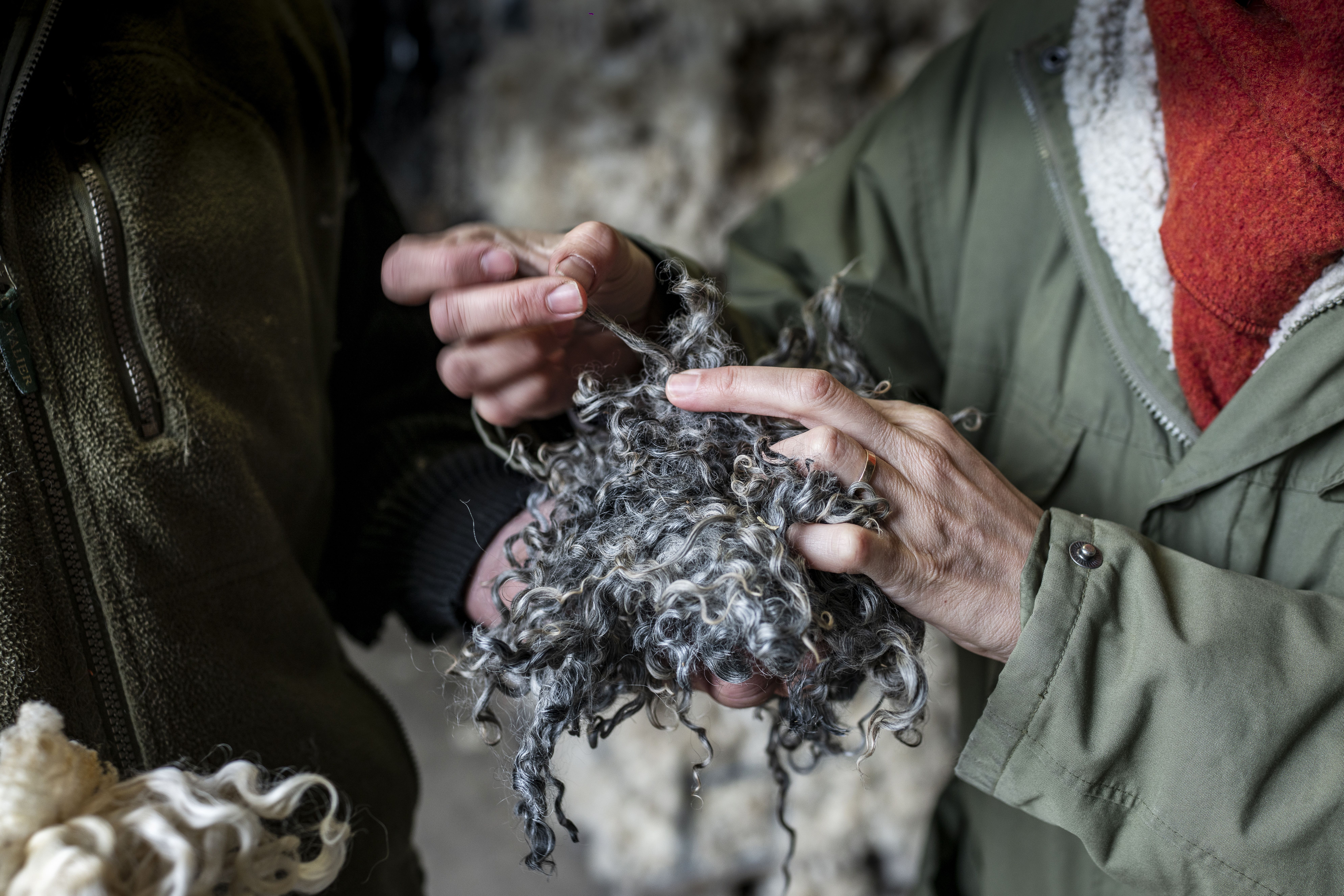 Recoverd Wool Gotland 29