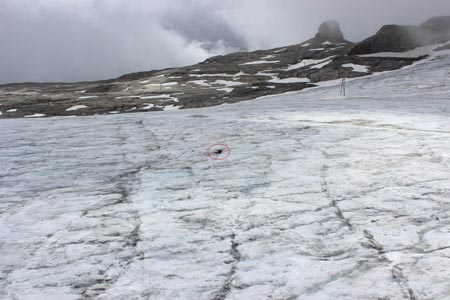 75 años juntos en el hielo